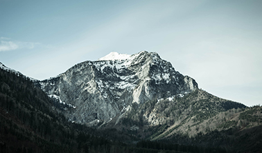 在线手机号轰炸工具